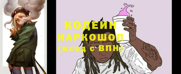 хмурый Бердск