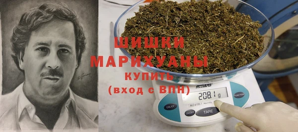 мдпв Верея