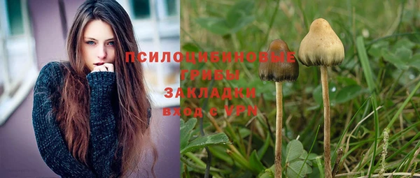 альфа пвп Горнозаводск