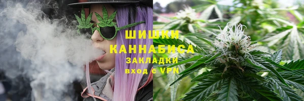 альфа пвп Горнозаводск